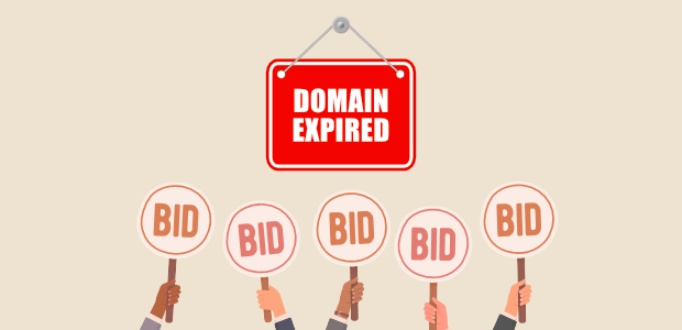 How to Buy Expired Domains with Traffic